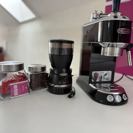 Olivia בויניצה